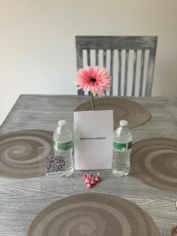 מקסיקו סיטי Hermoso Departamento En Coyoacan מראה חיצוני תמונה