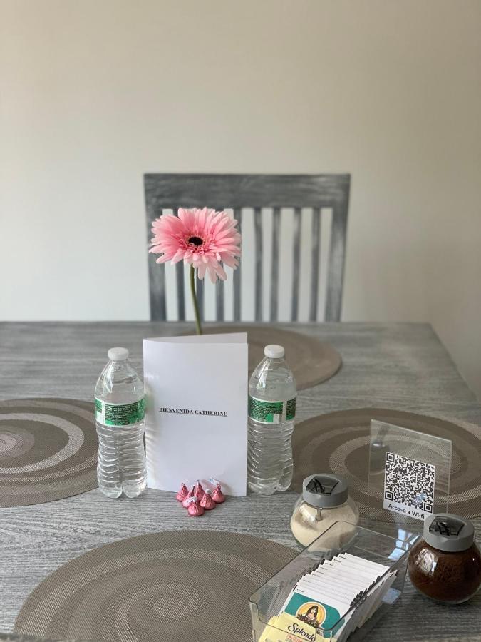 מקסיקו סיטי Hermoso Departamento En Coyoacan מראה חיצוני תמונה